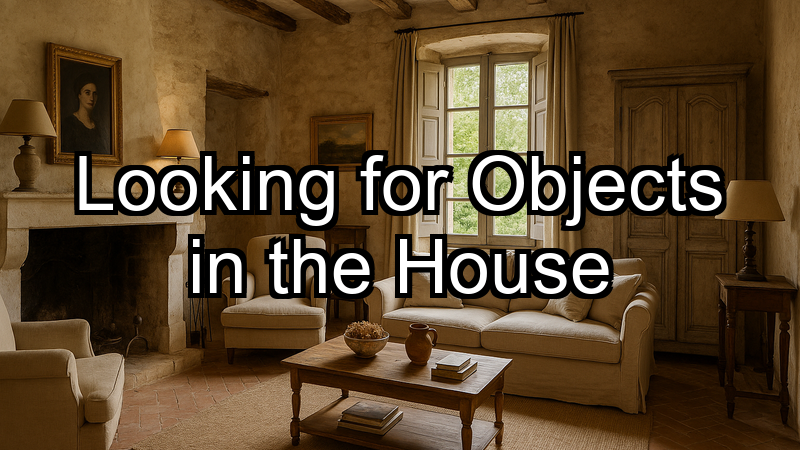 Looking for Objects in the House